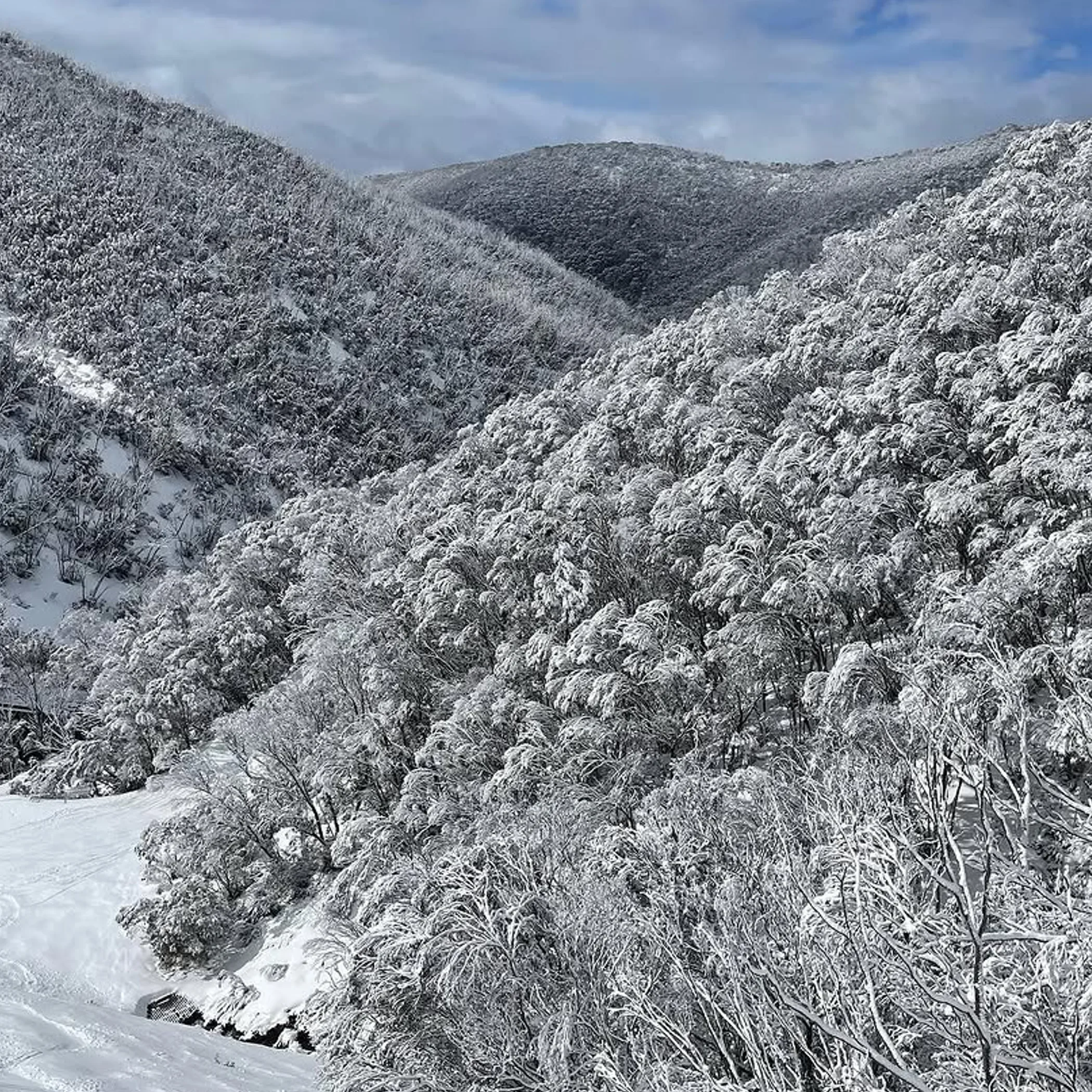 snowy victorian mountain setting