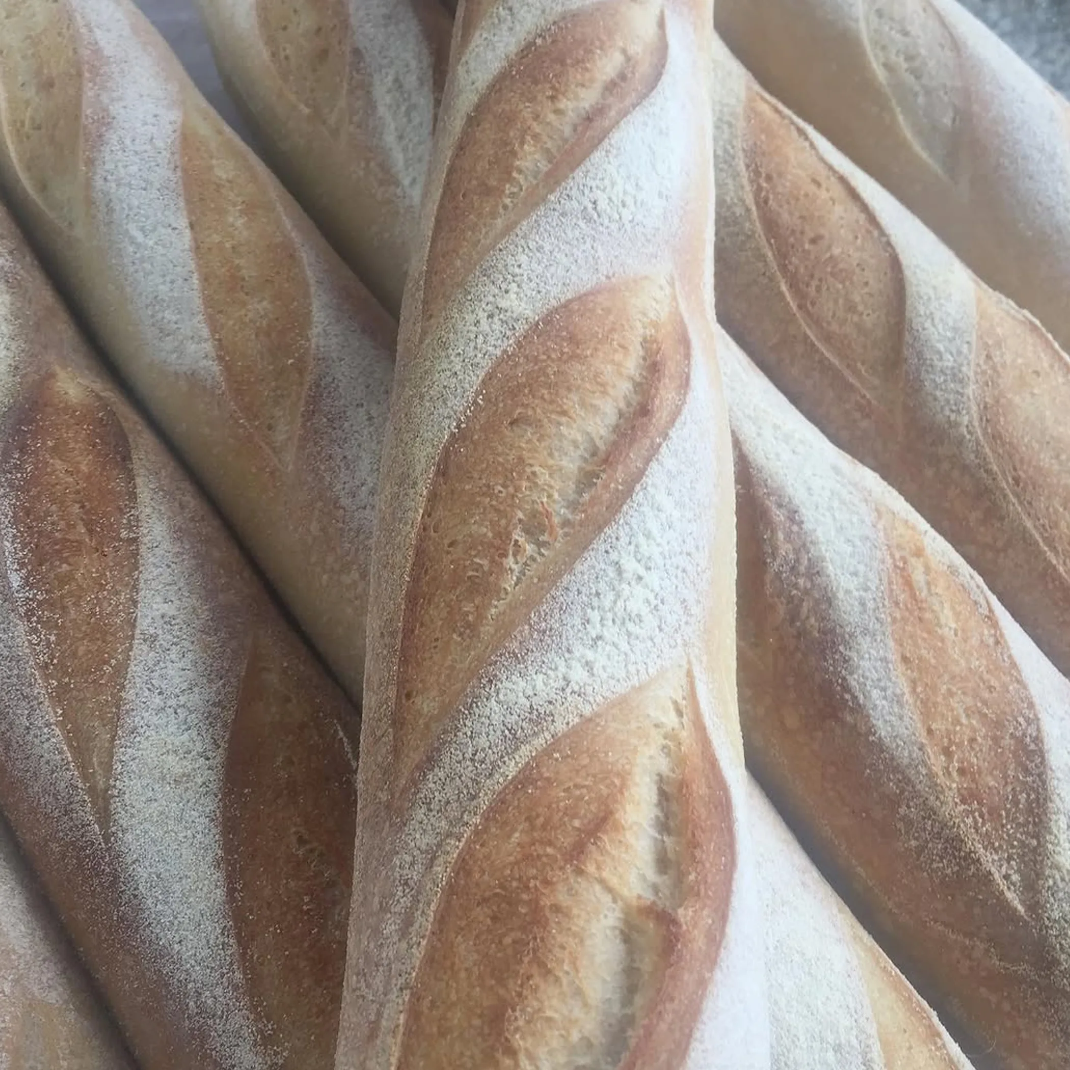 sourdough bread at farmers market